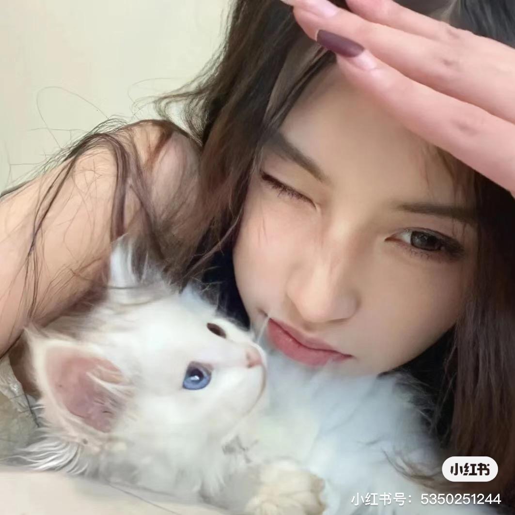 小🍑