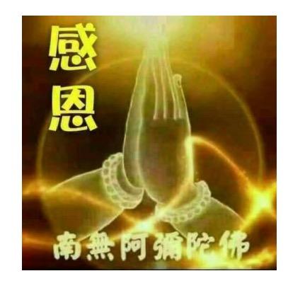 六眼菲鱼