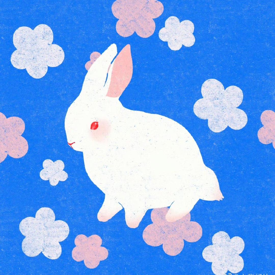 盐盐🧂🐰
