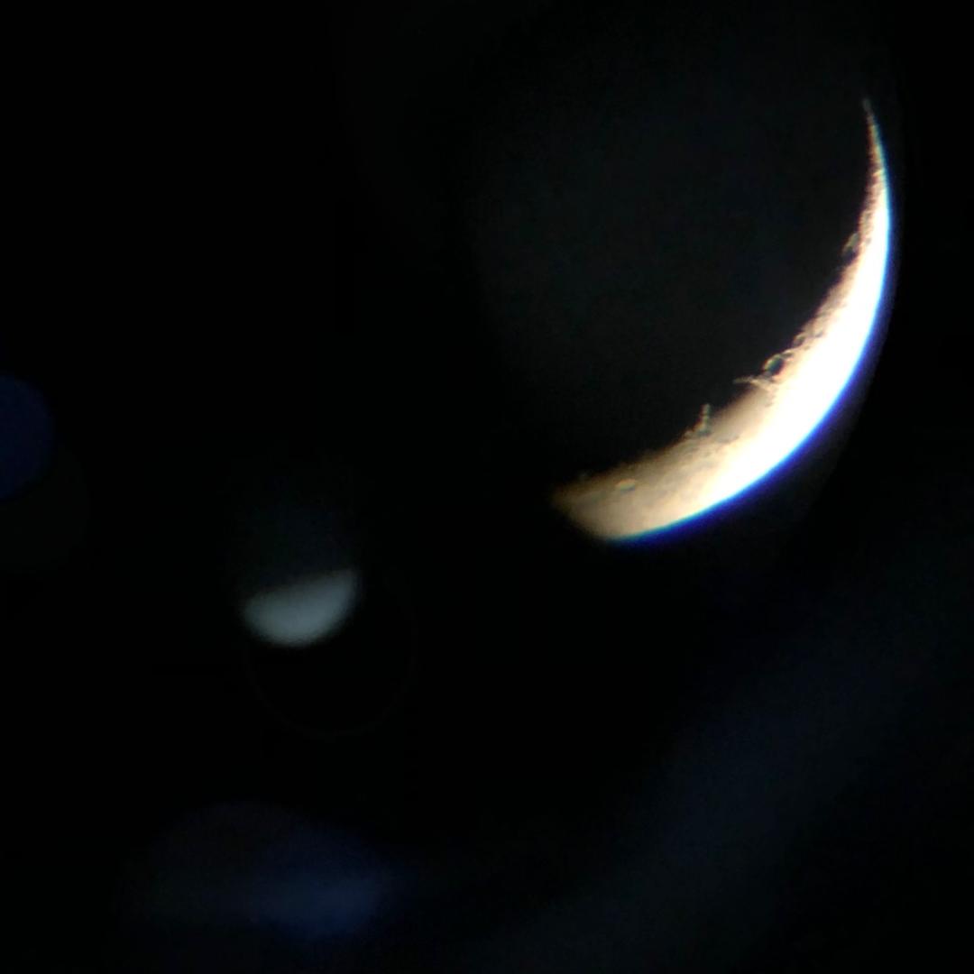 吃胡萝卜的卡皮巴拉