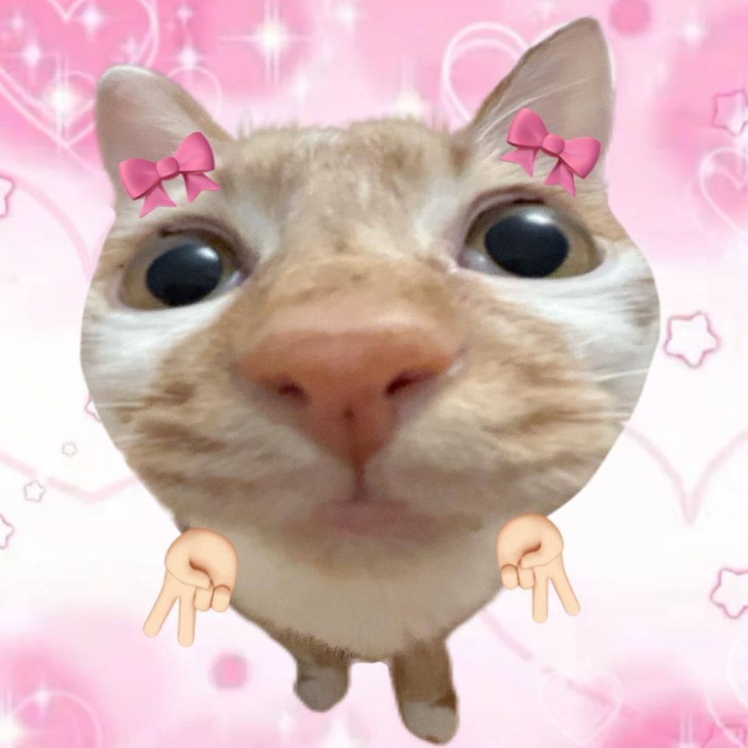 量子摸鱼家