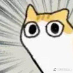 小朦今天也有好好生活