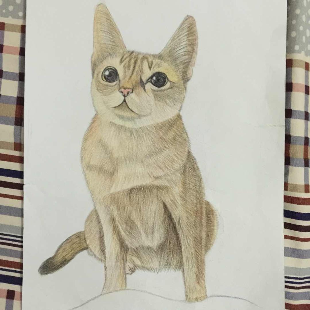 洁