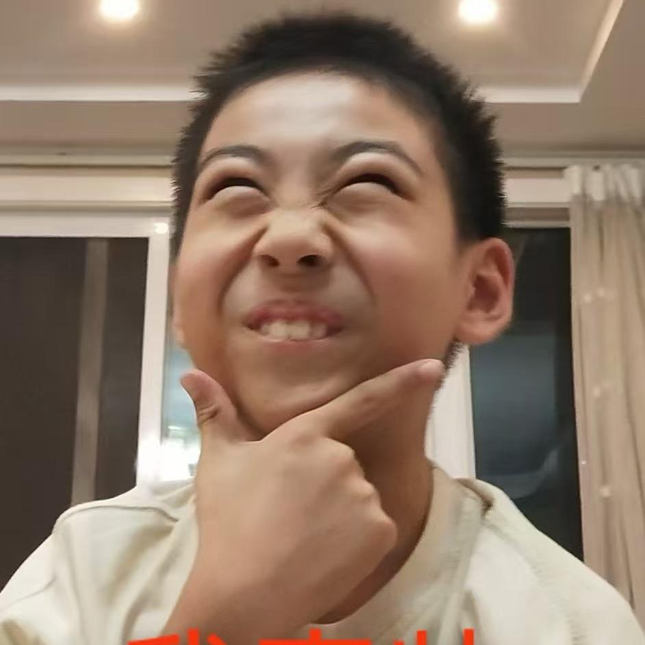 我家有个小刘星