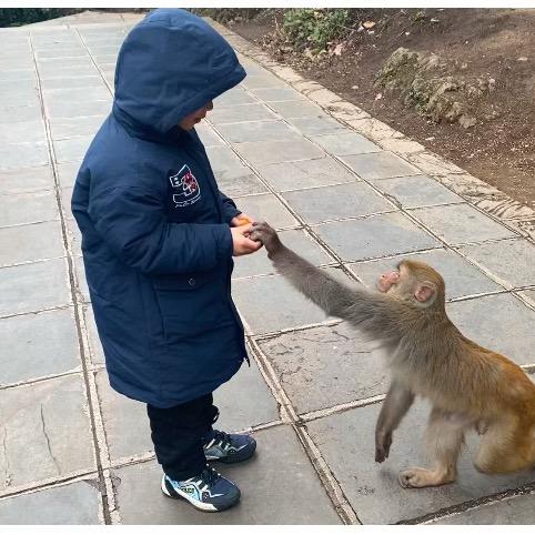 life is a fake movie