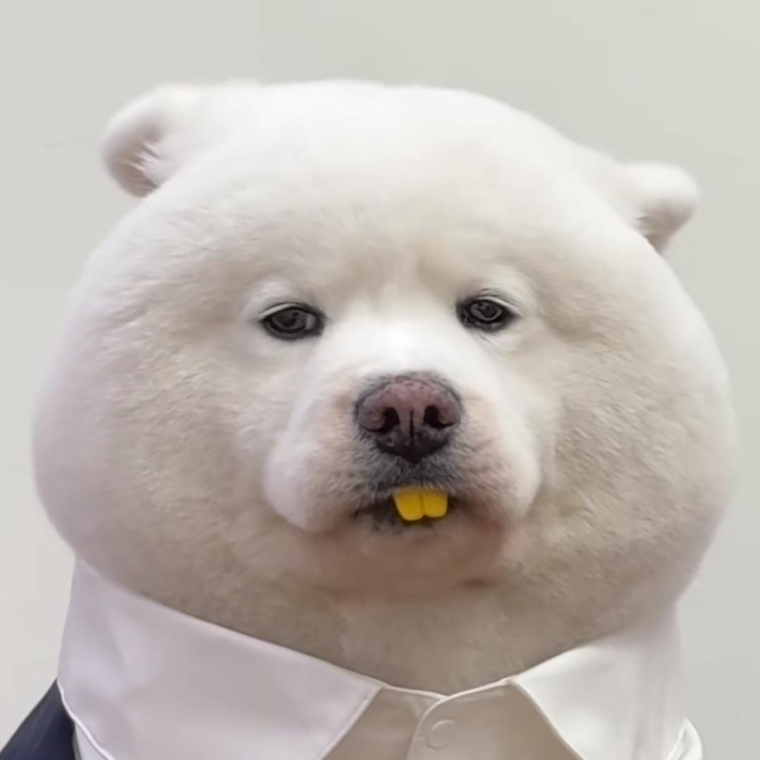 早睡早起🇨🇳