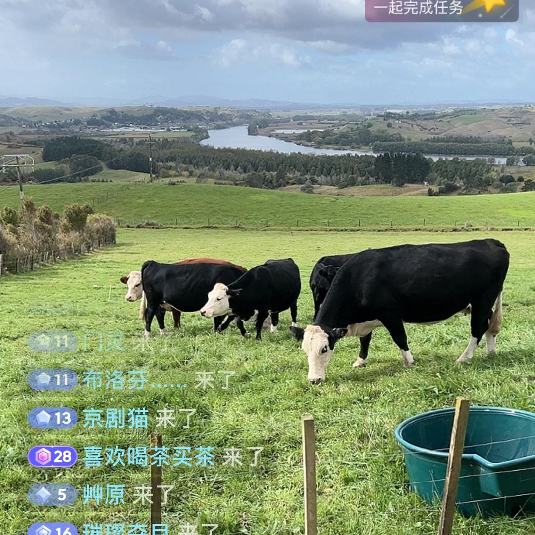 新西兰塔塔小农场