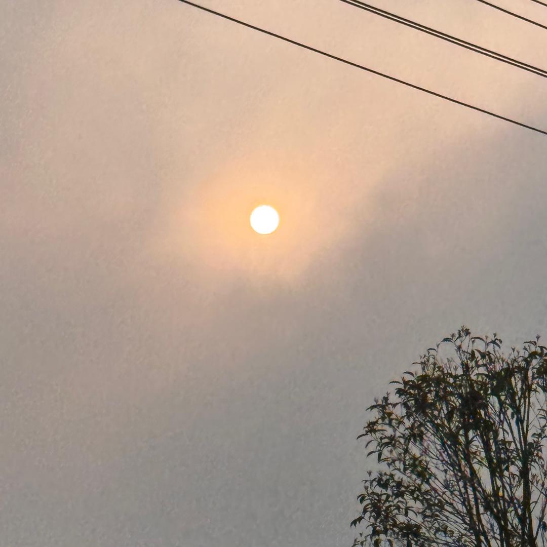 眯
