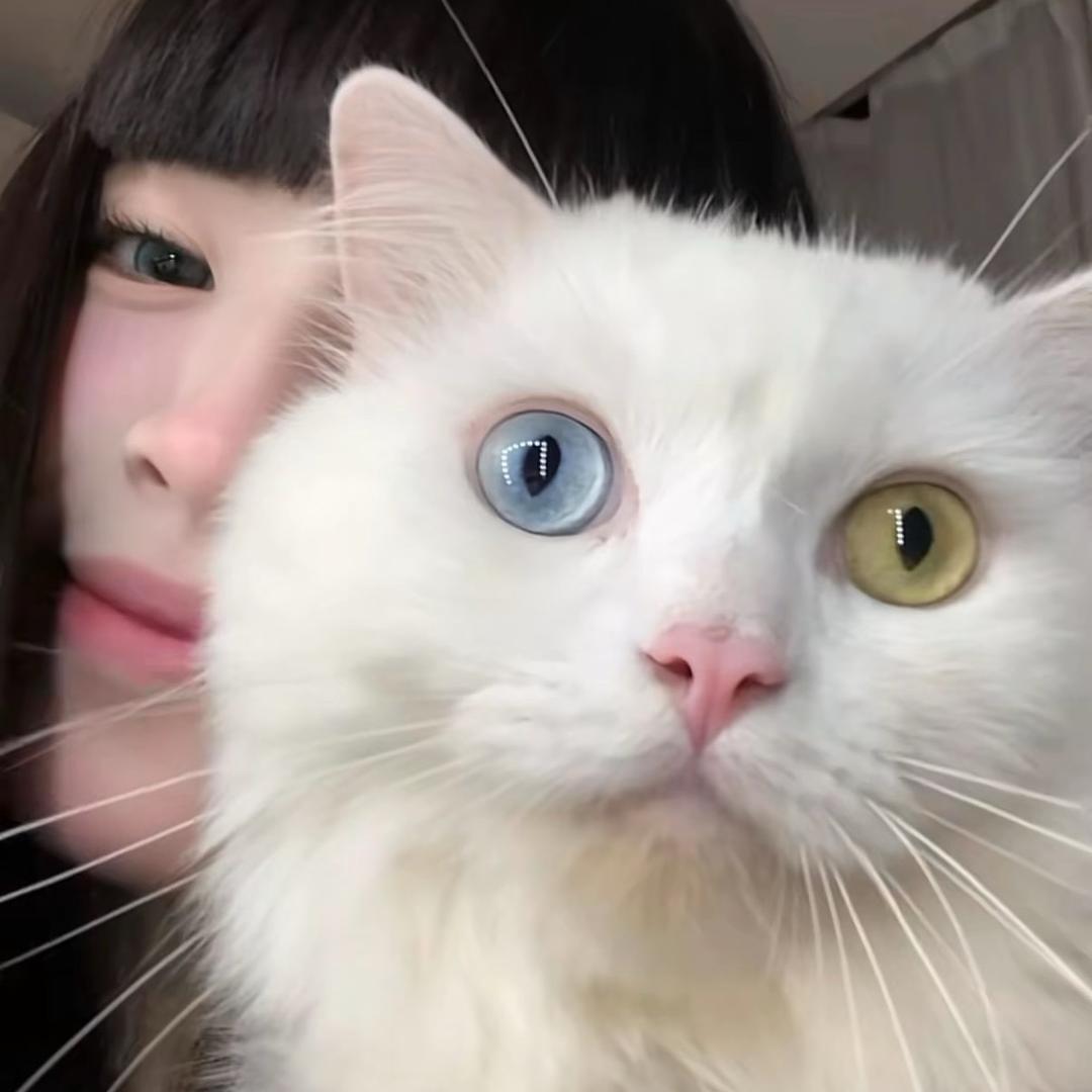 梦然