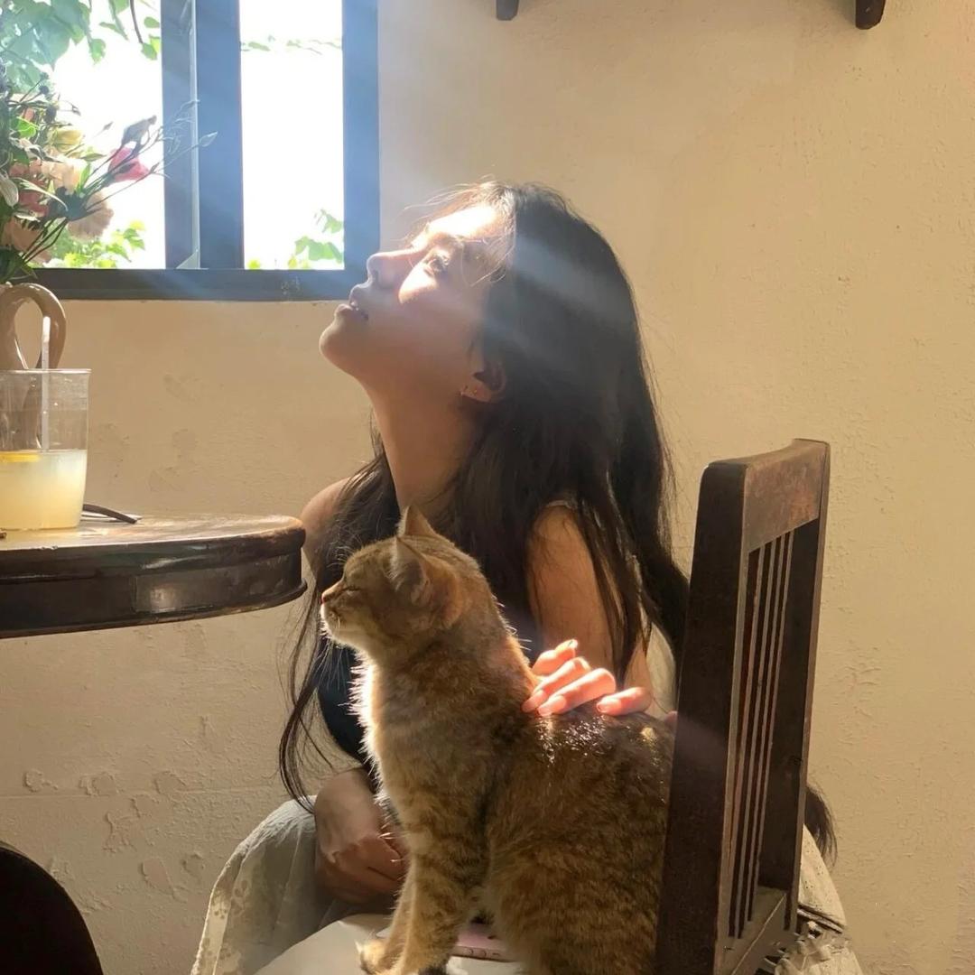 趴在桌子上数羊