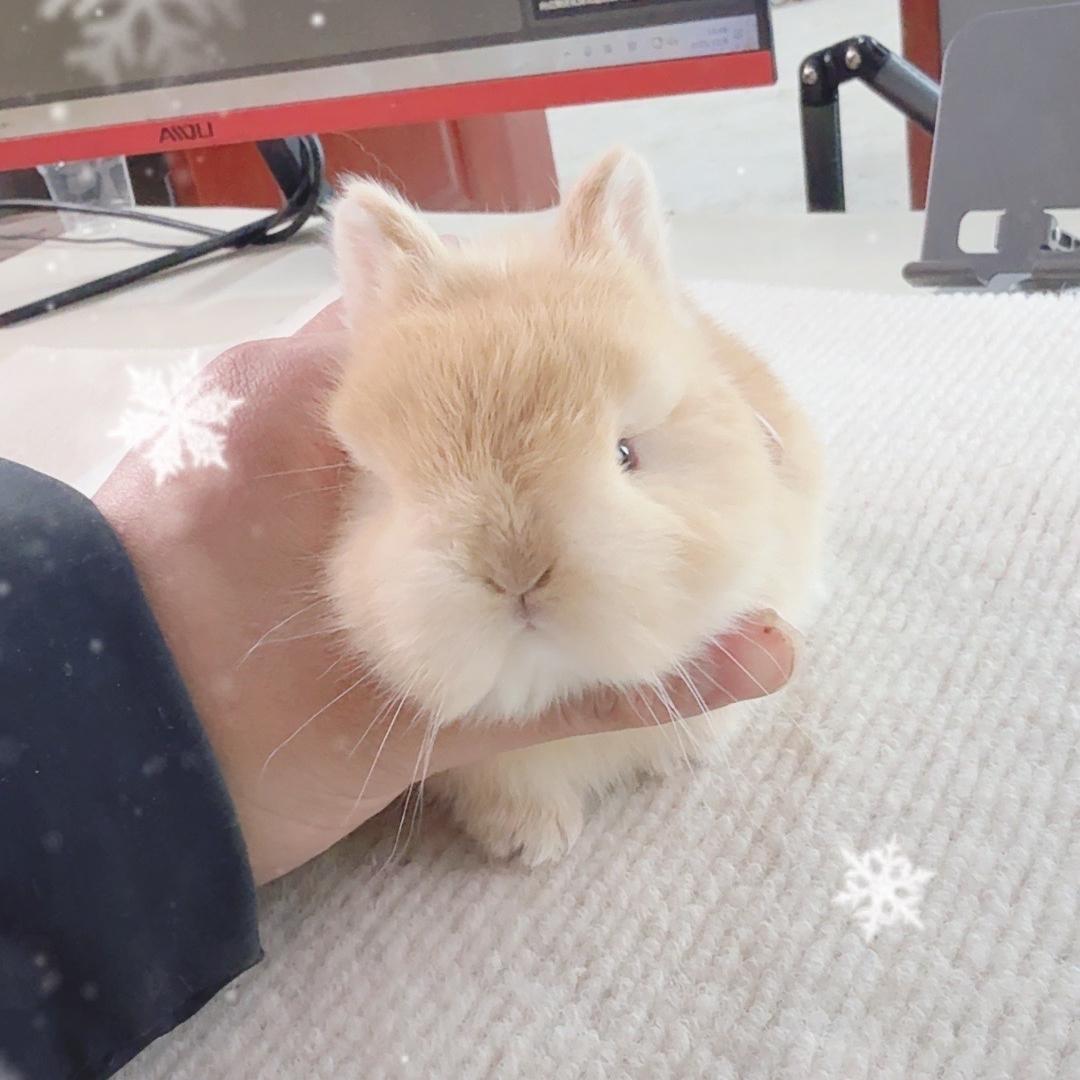 我的好龟闺