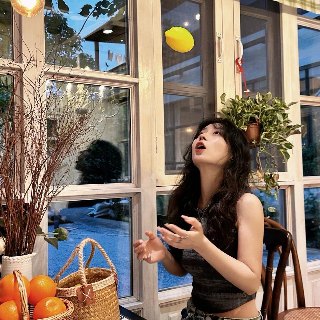 鹅莓π（日进斗金版）