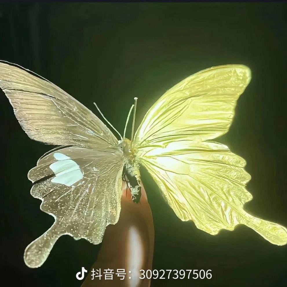 一诗小小好物推荐官