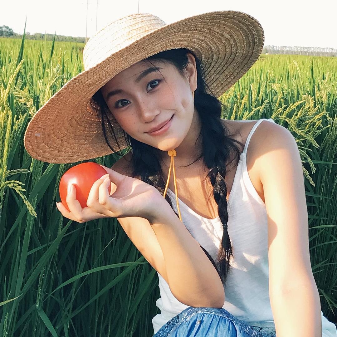 毛葱小姐