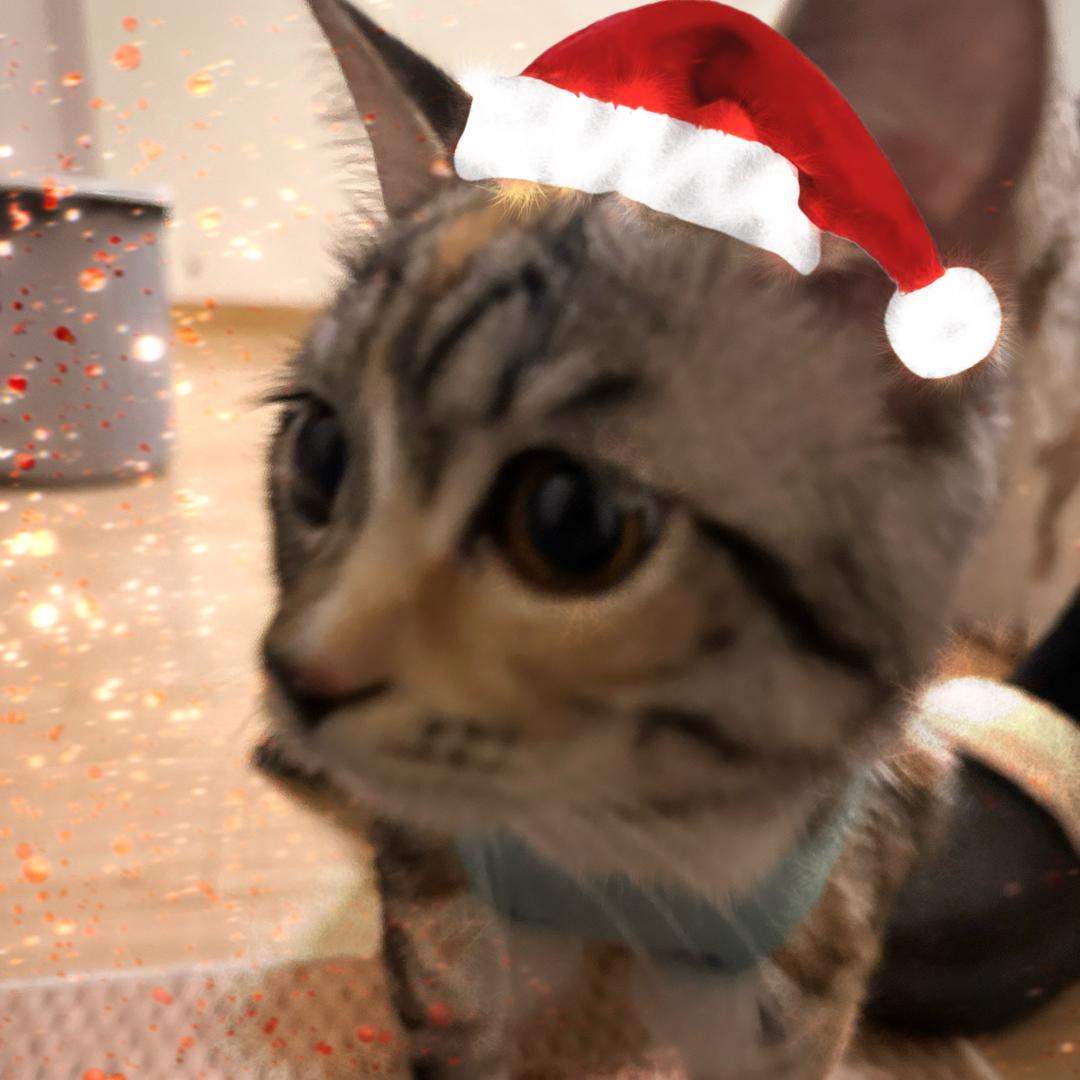 訚鸢ꪔ͈̮（抖音不要再惩罚我了