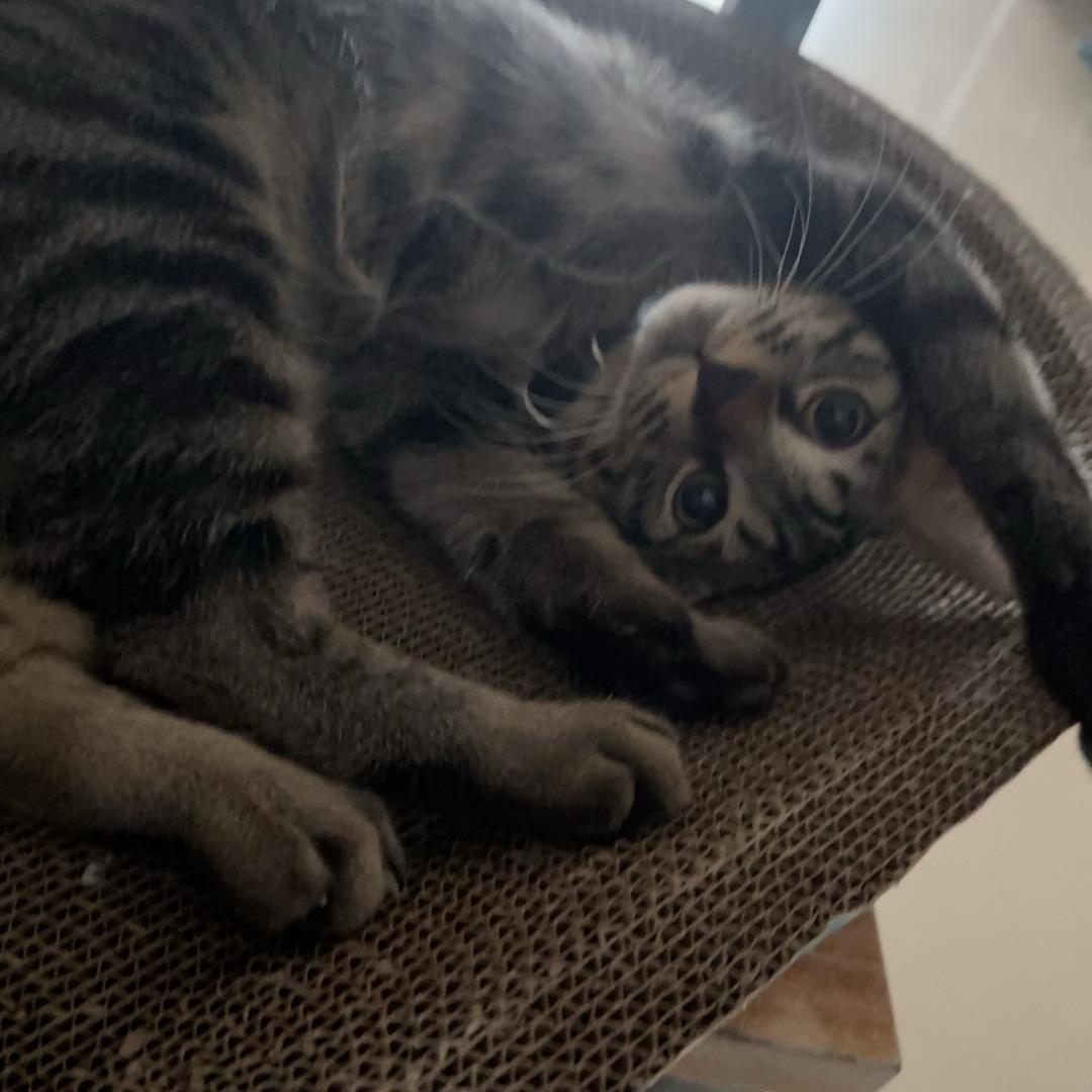 小工二手书出售