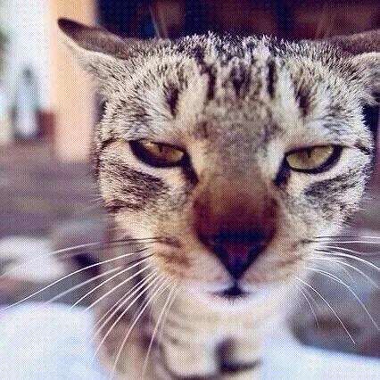 我也不知道叫什么