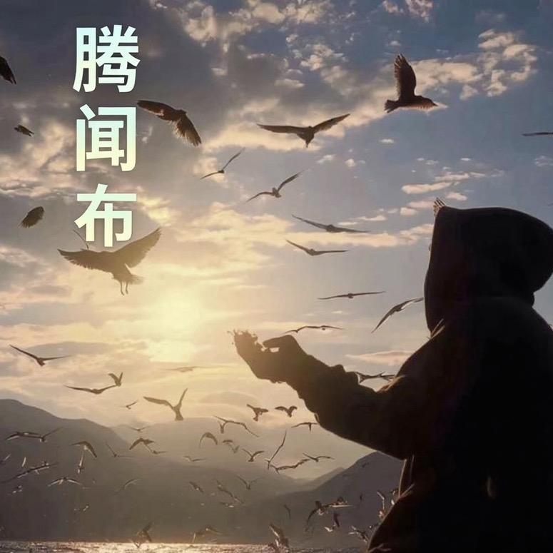 腾闻布