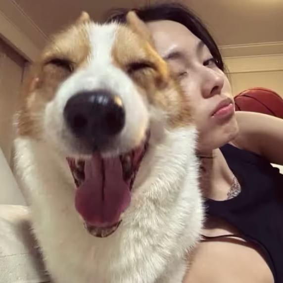 冰冰🧊