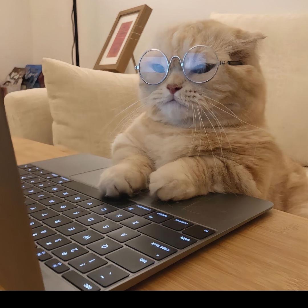 中荆教育黑米周