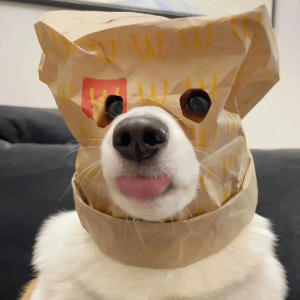 科记奇闻