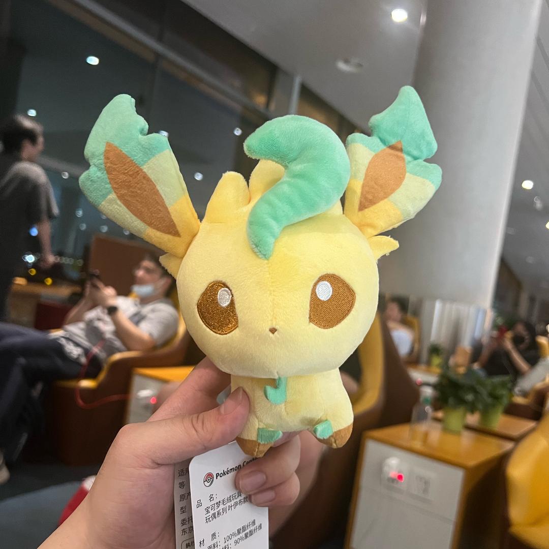 。韦鸽鸽