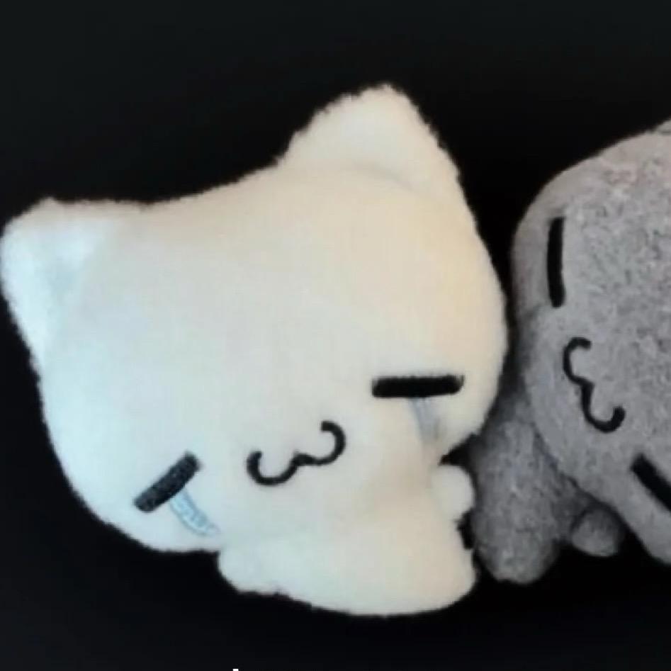 我是一只大肥猫