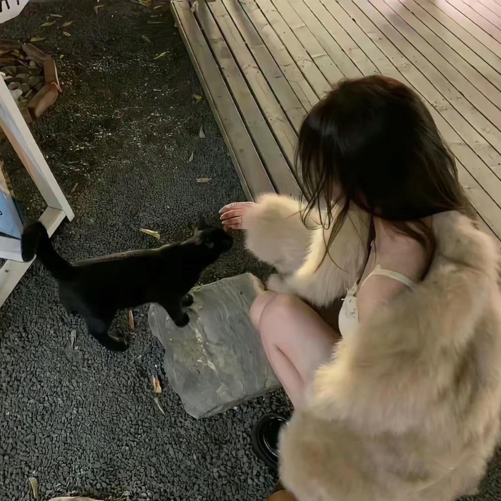 董小姐.🌻