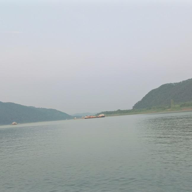 焦勇～🐠～🪀