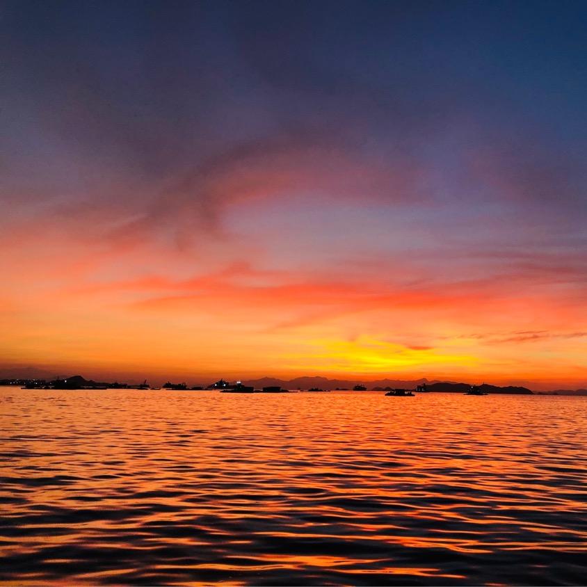 虎门地标C区游泳培训班