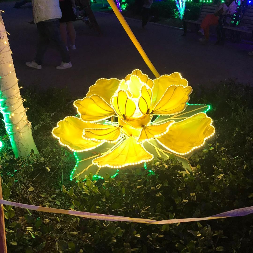 淼淼嫣然