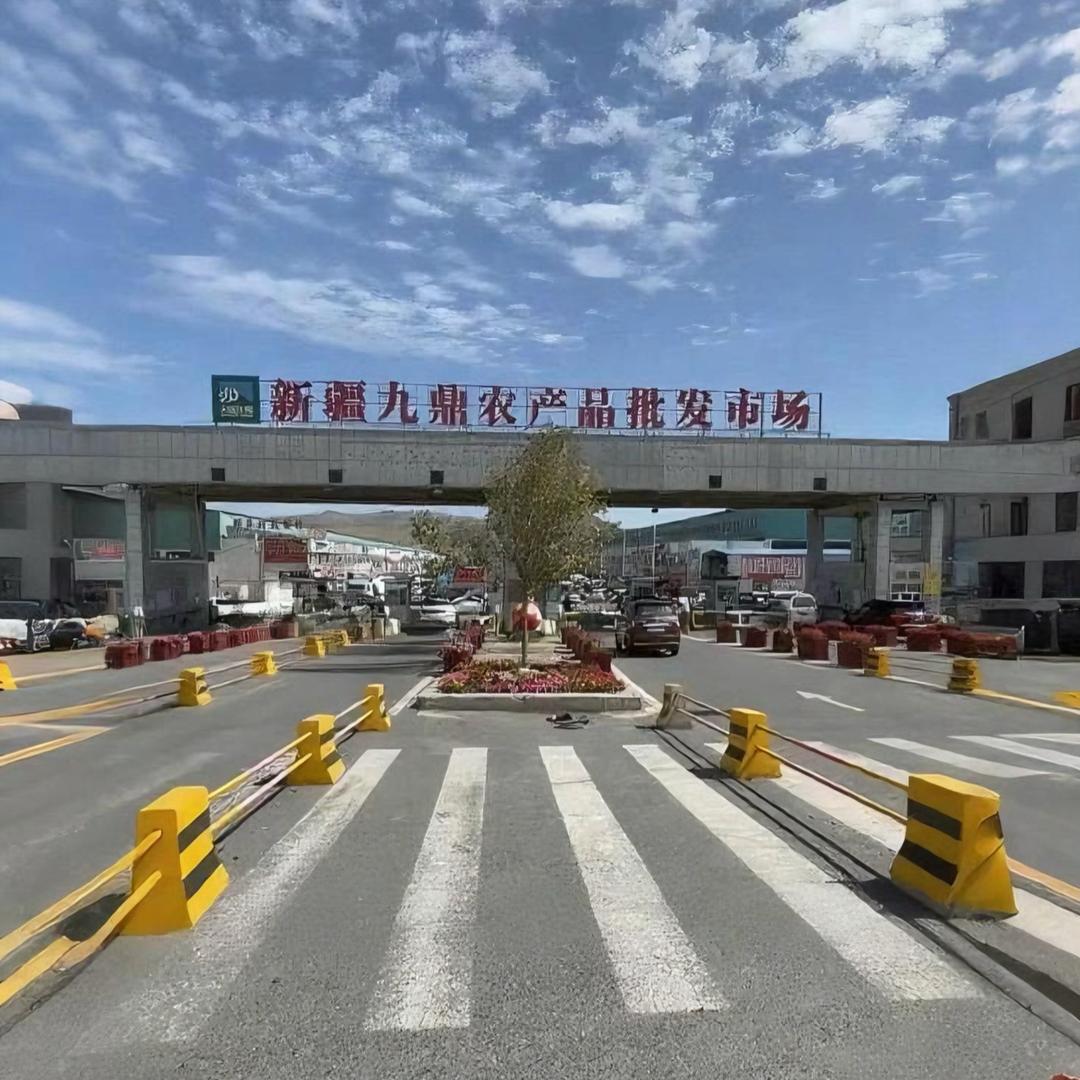新疆大龙严选