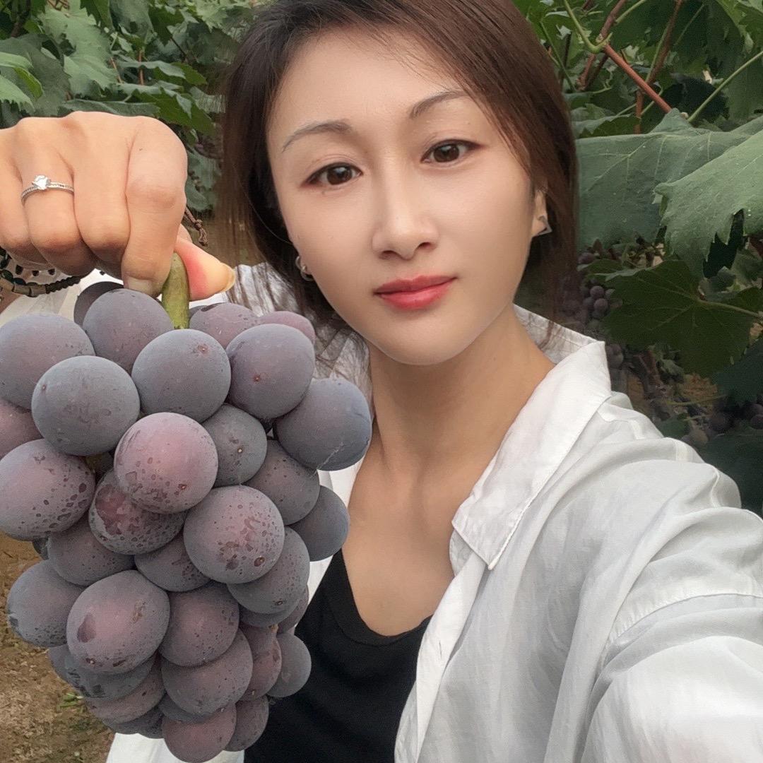 钱多多葡萄🍇