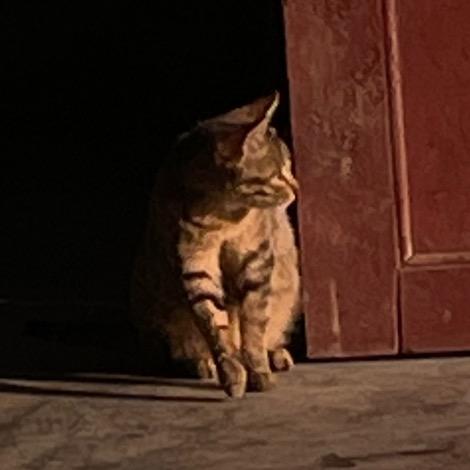 🌈吹吹风，呼～呼～