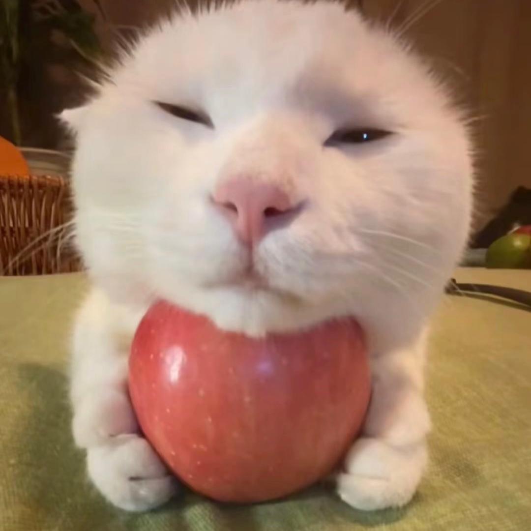 N种活法