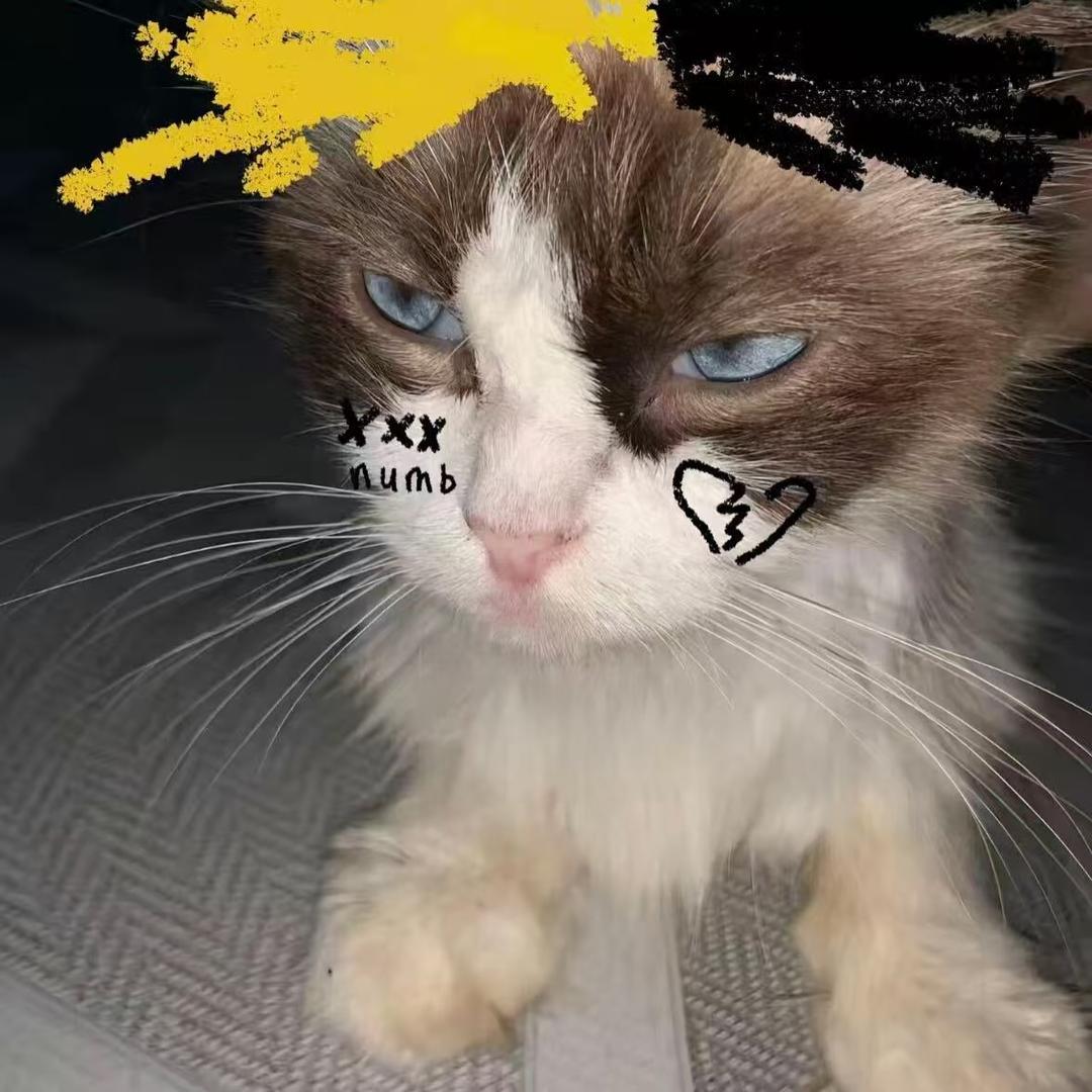 枯.