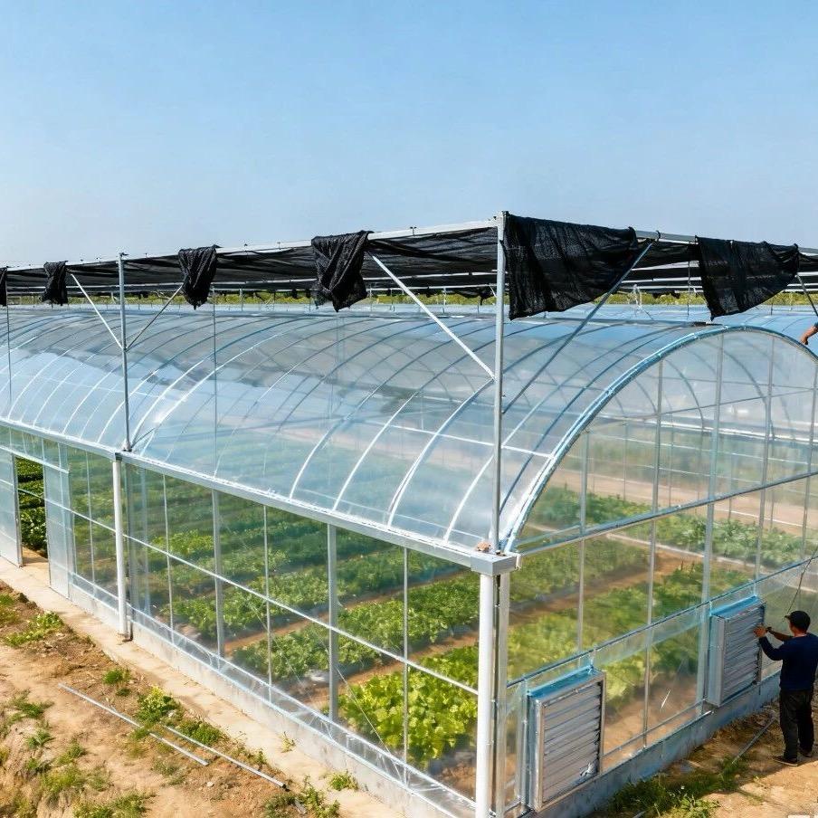 温室大棚设计安装