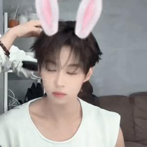 沅沅大王（卓沅点赞版