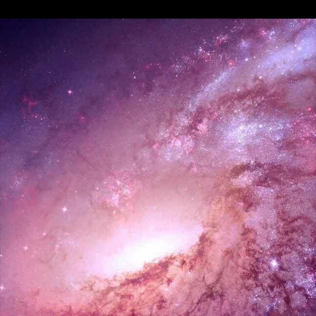 卖汽车的小姨妈