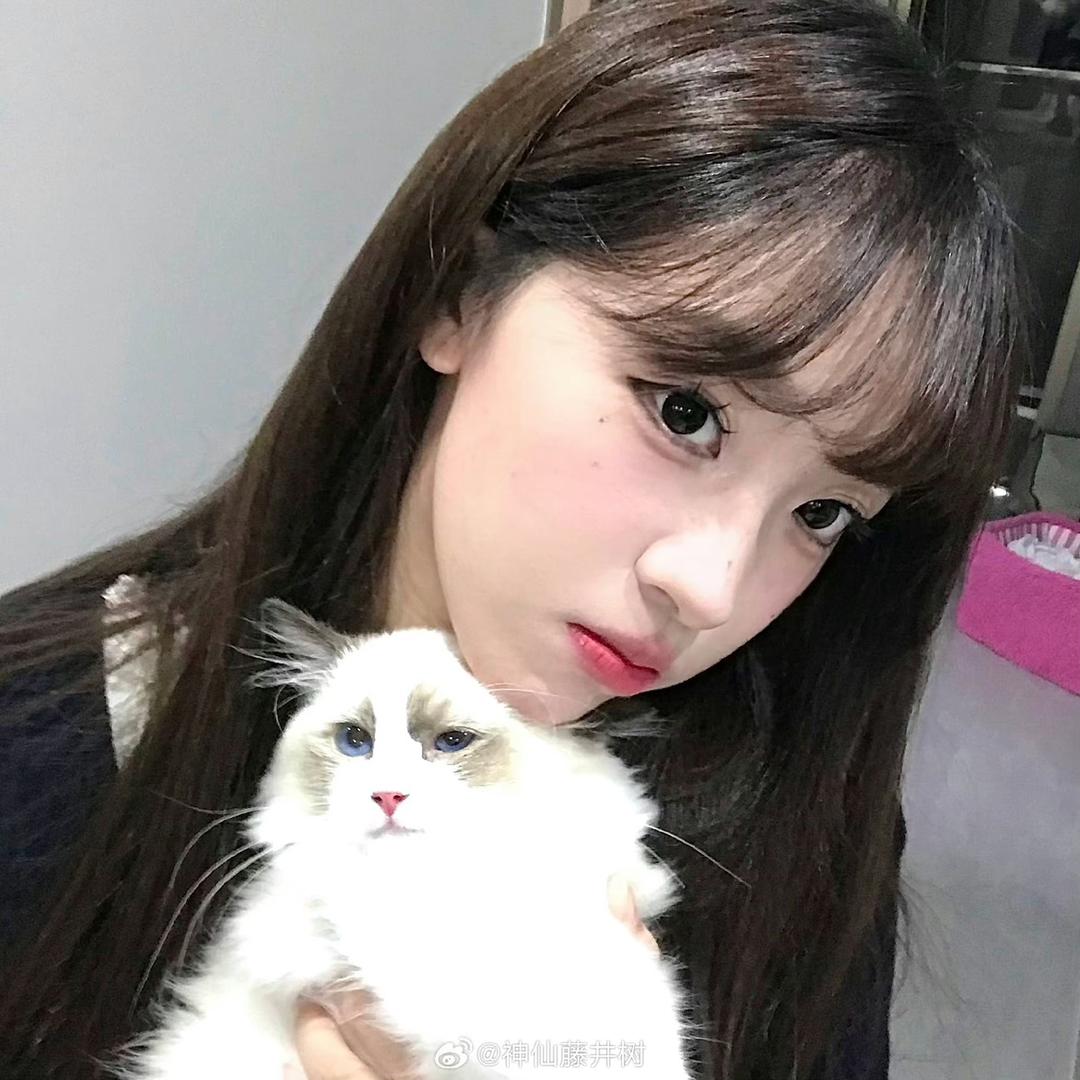 呆瓜兄兄弟弟们