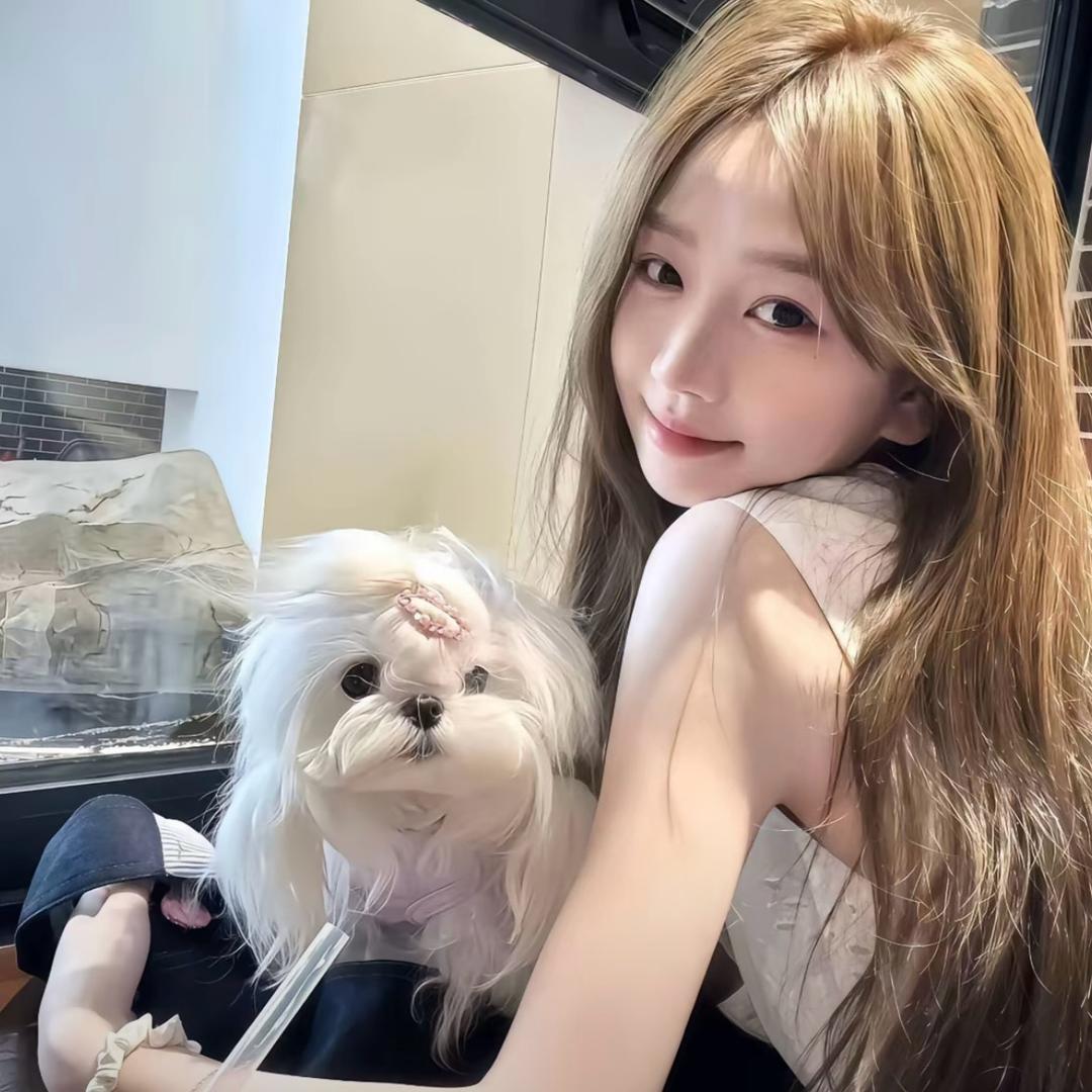 ㅤㅤㅤ       ㅤㅤㅤ