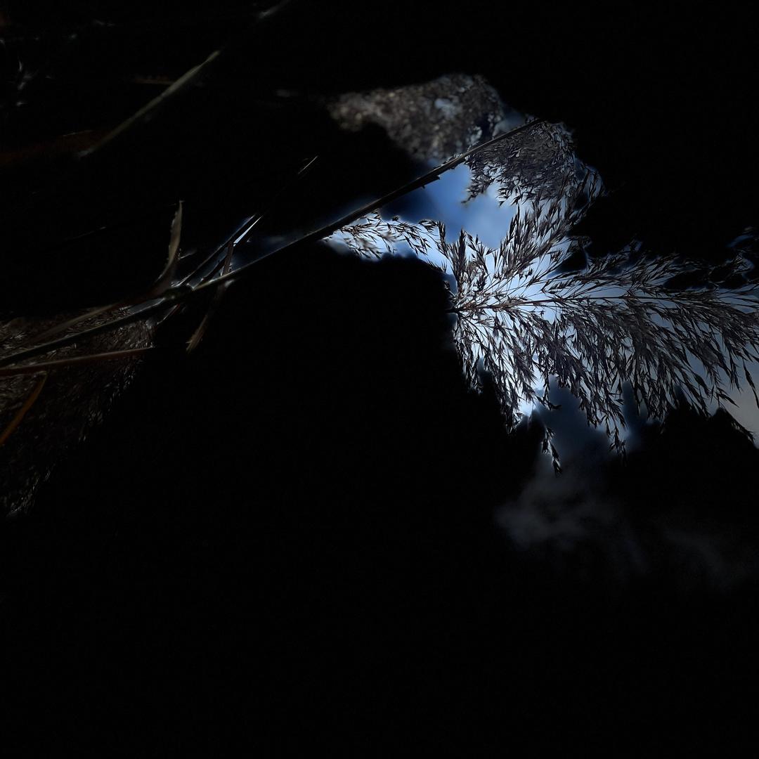 @ღ᭄微笑钱行დ᭄