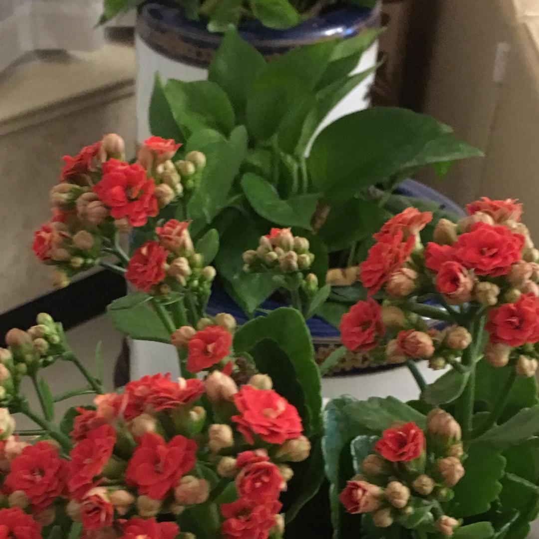 潇洒人生〈勿连赞〉