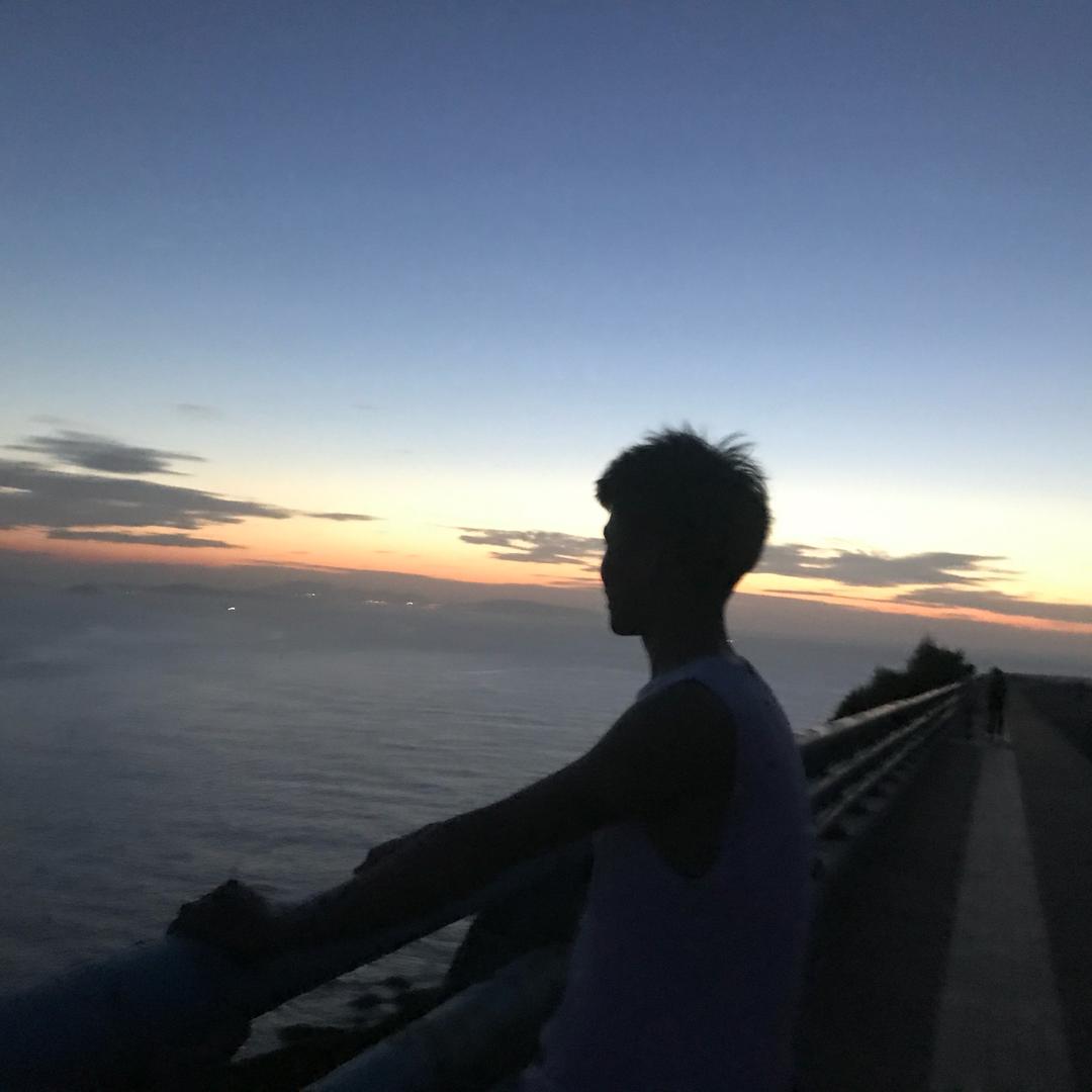 L_