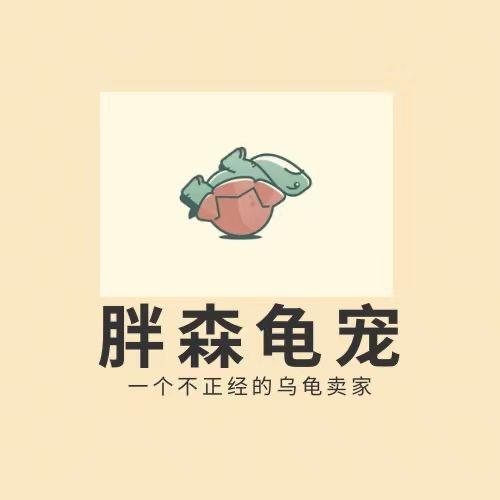 胖森龟宠