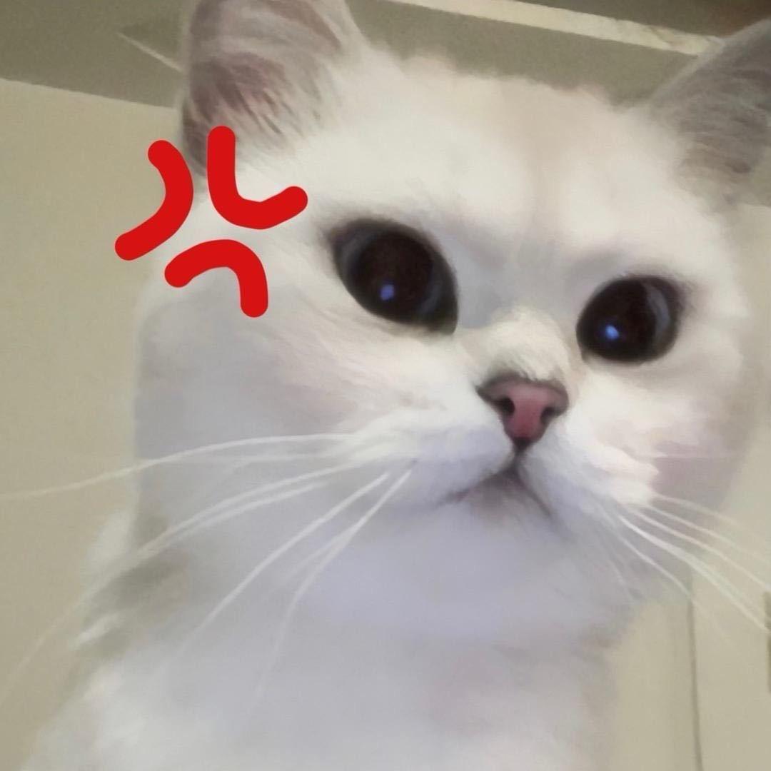 骜骜骜骜骜