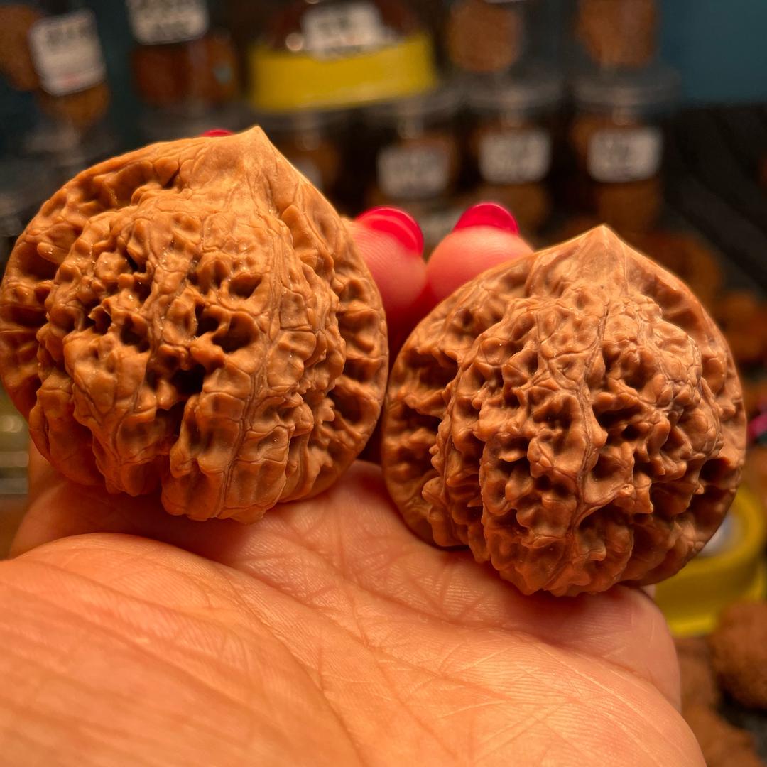 红锦鲤文玩