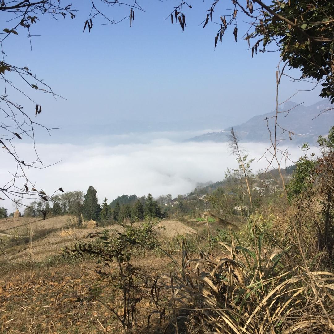 树欲静而风不止……