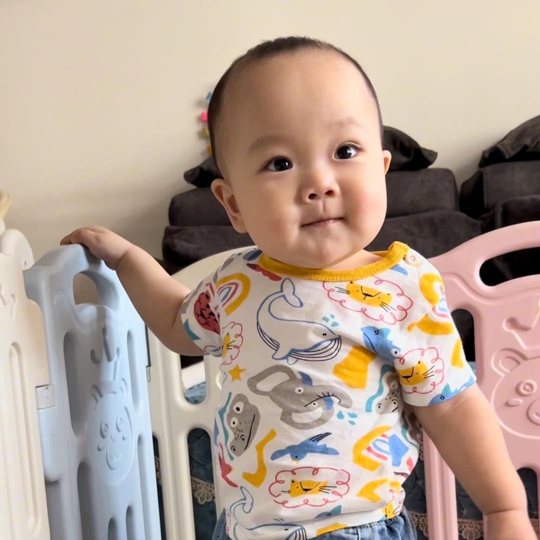 蜡笔小鑫泽