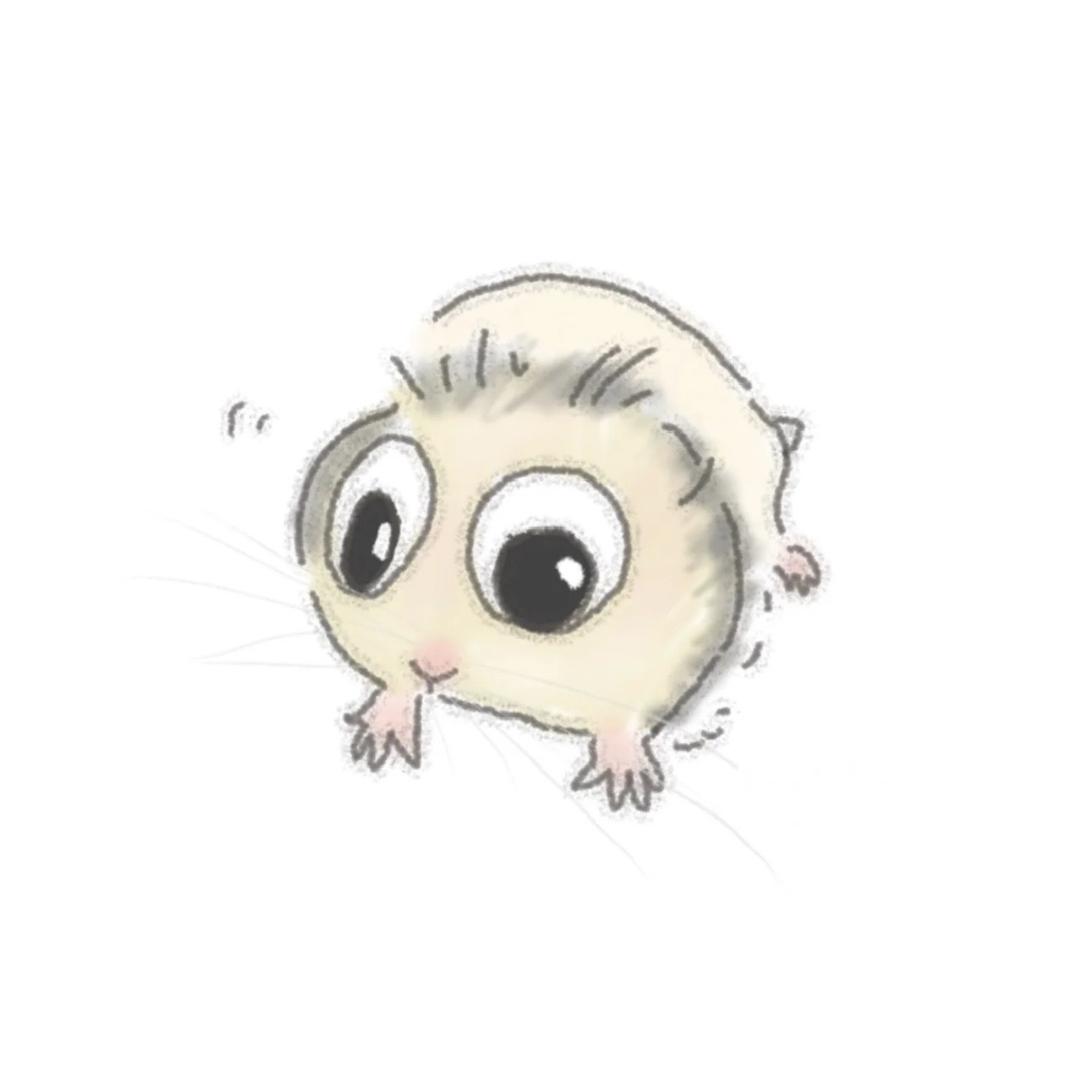 557🌰